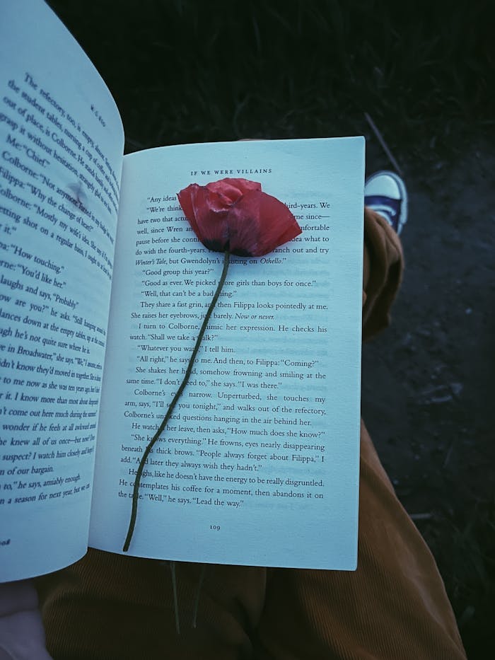 A red rose petal rests on an open book, evoking a peaceful reading atmosphere filled with subtle emotion.